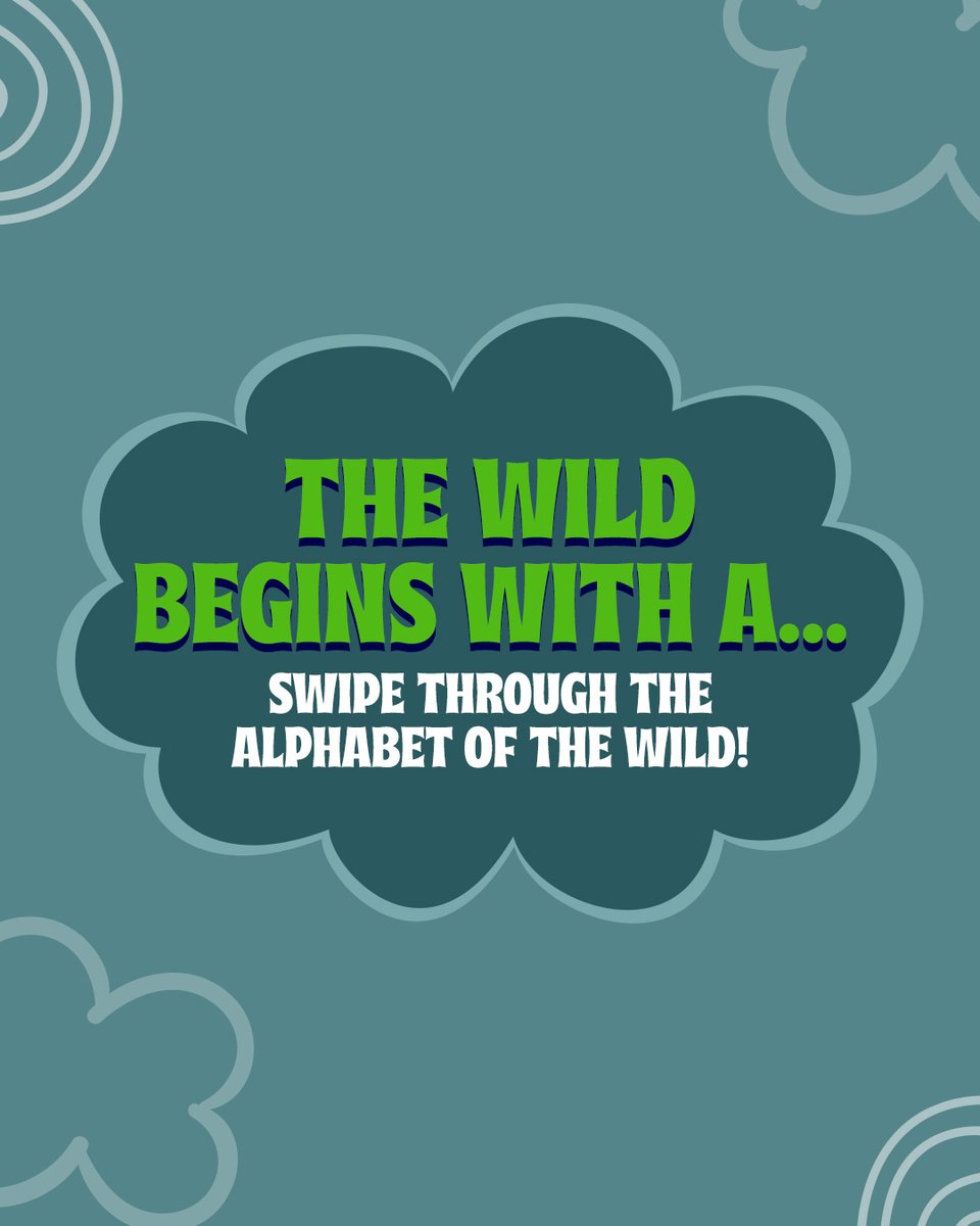 KnowAboutWild's tweet photo. A is just the beginning… Can you guess who’s hiding at Z? Get ready for a wild ride through the alphabet. Grab ‘Know About Wildlife: Animals From "A" to "Z”’ : https://t.co/GllG7DZqoo #writerslift #WritingCommunity #readingcommunity #ShamelessSelfpromo #author #Writer https://t.co/JzknDLBunT
