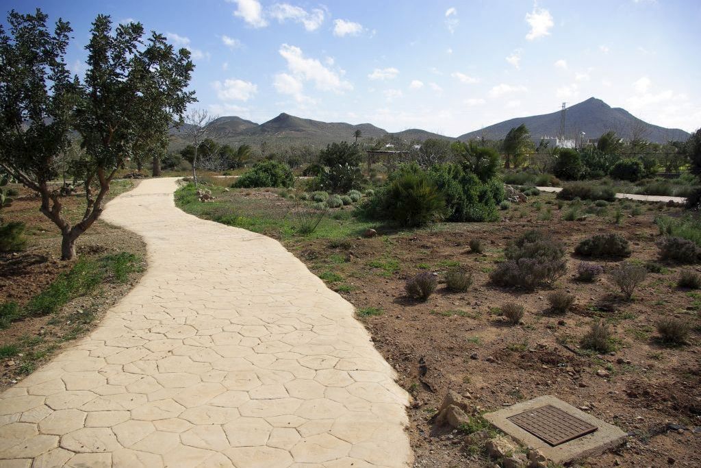 IfapaJunta's tweet image. El #IFAPA está aplicando compost del #alga asiática invasora como #sustrato en plantas autóctonas del Jardín Botánico El Albardinal 🪴
Estos ensayos buscan #valorizar residuos agroalimentarios y marinos, contribuyendo a la #sostenibilidad de los sistemas productivos andaluces ♻️