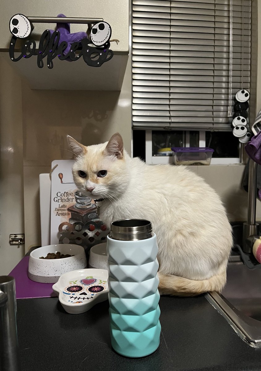 KoshkaMorrison's tweet image. Zeme olbido poner el tuid del café! Pero yasta listo