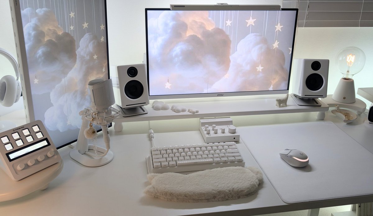 n11__'s tweet image. #desksetup 𓂃 ◌𓈒 ^. .^ ੭
地味アプデ
▫️マイクにチャームつけてみた
▫️ねこリストレスト購入
でも両方ともどう見ても冬っぽいふわふわアイテムで季節外れ感すんごい…