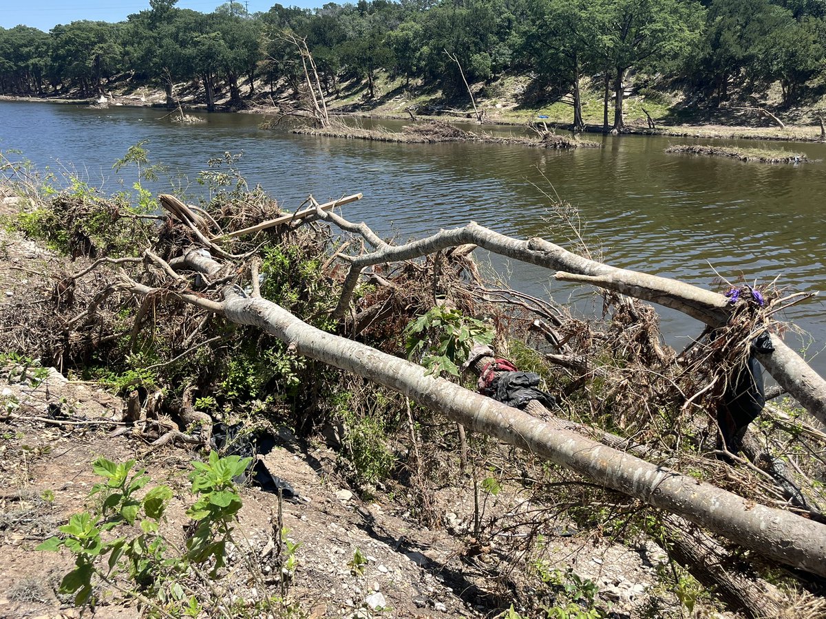 KristenCurrieTV's tweet image. Some of the damage I saw in Ingram yesterday.
I can’t stop thinking about this piece of climbing wall from what was likely a children’s playground, 20ft+ *above the river, lodged into a tree. There were still clothes & debris scattered all over the riverbank. #texasfloods