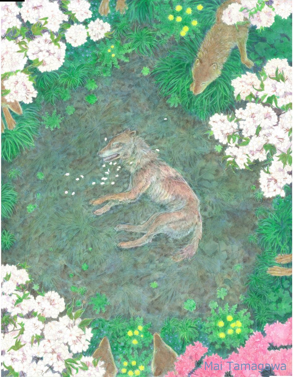 ファンタジーアート　ルス・ホイヤー原案 ファンタジーアート ルス・ホイヤー原案