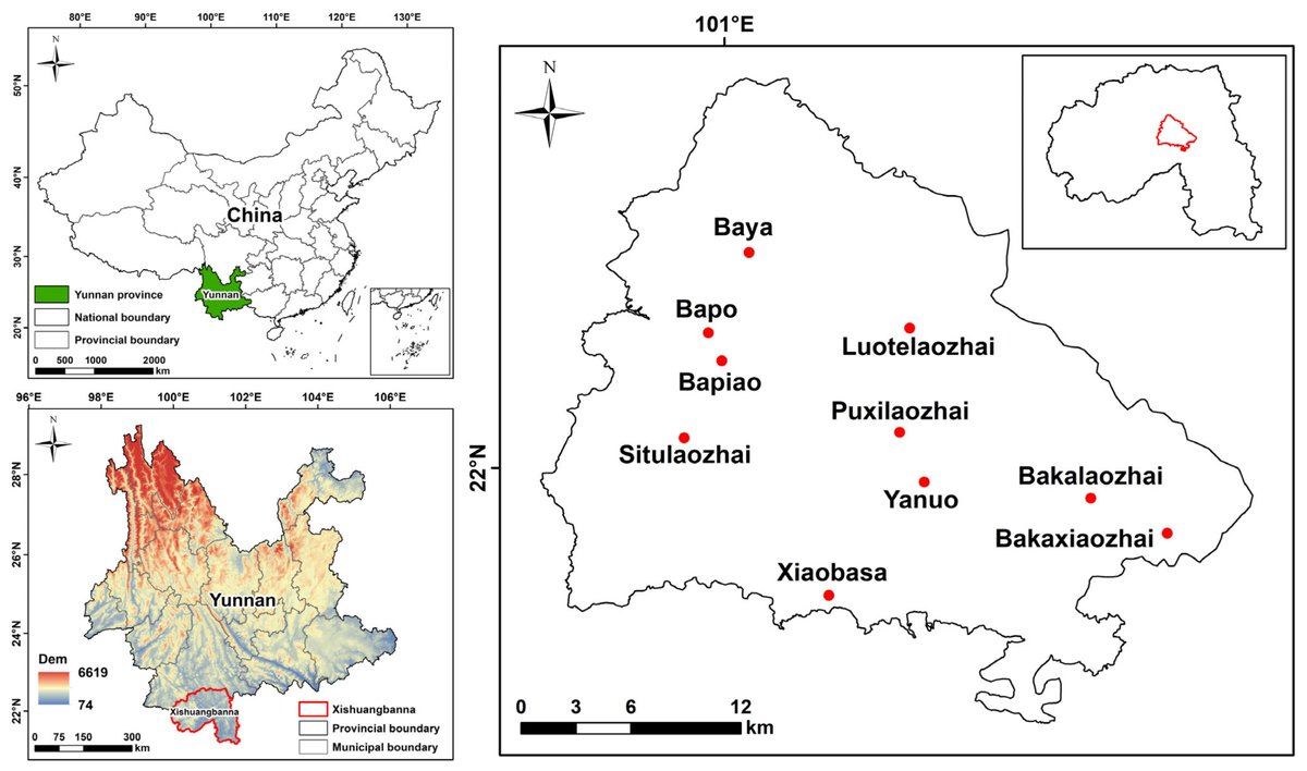DiversityMDPI's tweet image. 🌏🌱Biodiversity Conservation in Xishuangbanna, China: Diversity Analysis of Traditional Knowledge Related to Biodiversity and Conservation Progress and Achievement Evaluation
by Qing Huang et al.
mdpi.com/1424-2818/16/5…| 3207 views