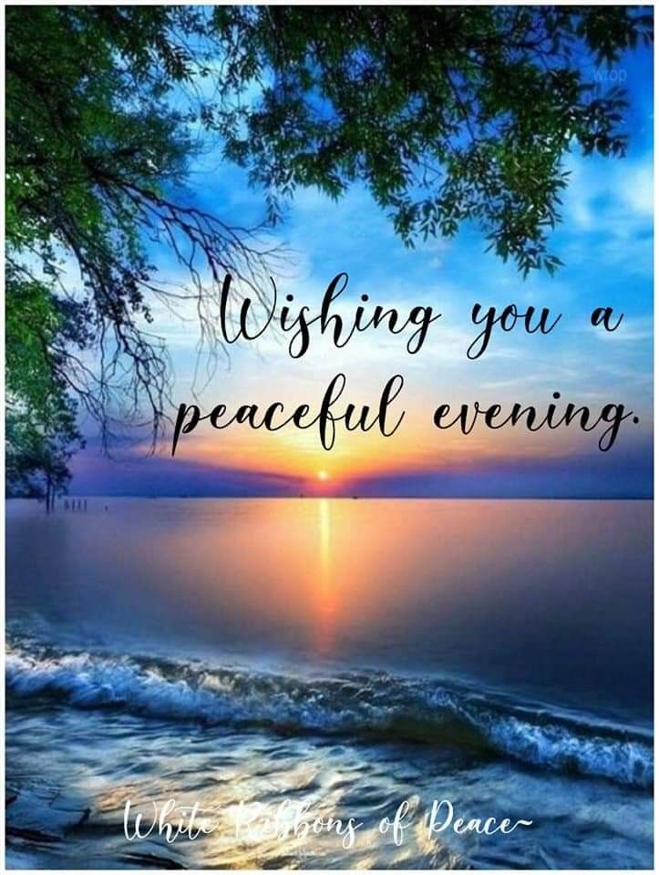 MtayyabShah9's tweet image. Wishing you a peaceful evening.
Good evening dear X friends 🌹
