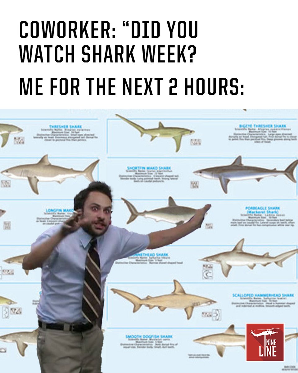 NineLineApparel's tweet image. It started as background noise. Now I’ve ranked every species by bite force and stealth ability.
#SharkWeek2025 #UnqualifiedExpert #SharkSplain #SharkWeekEnergy #NineLineApparel