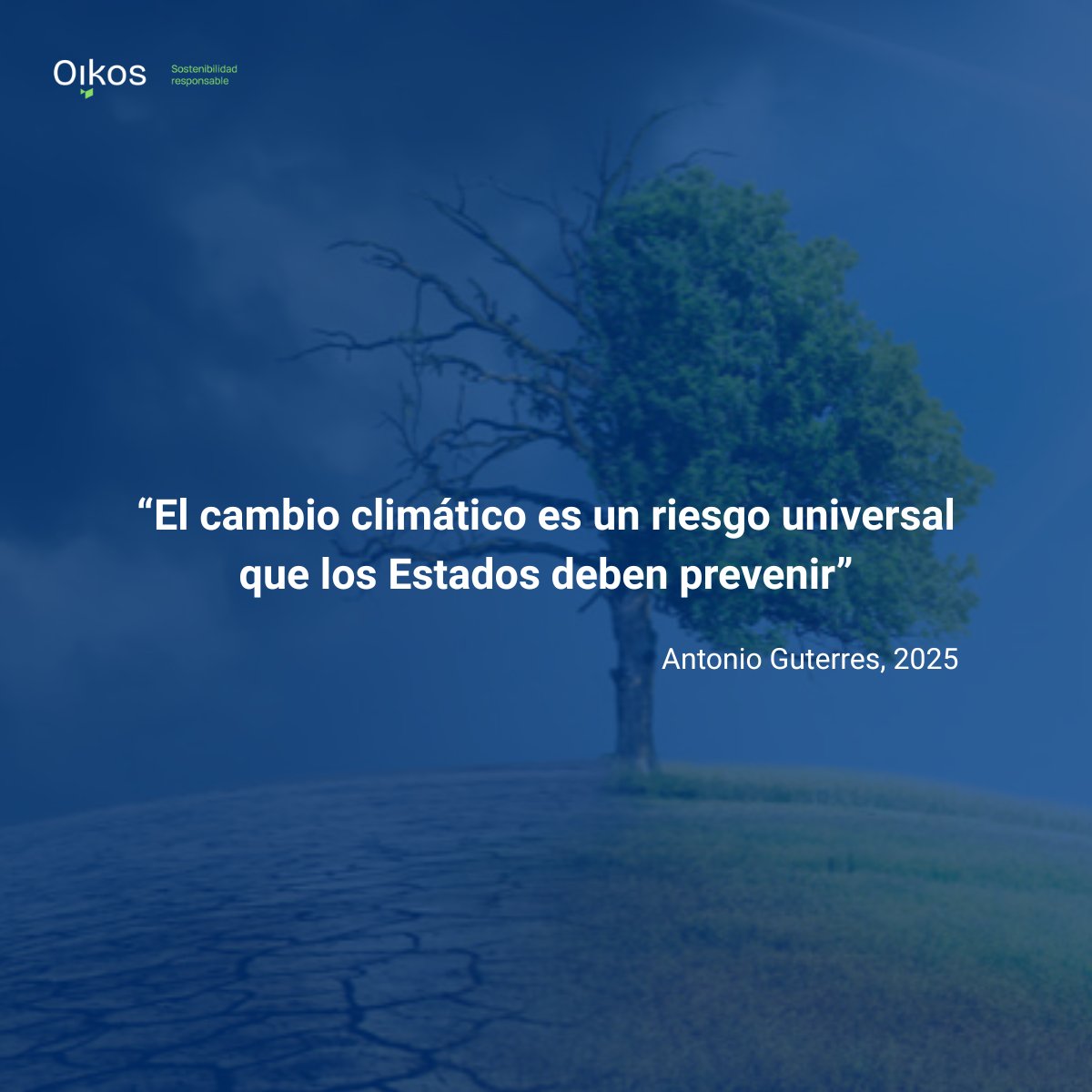 Oikos España (@espanaoikos) on Twitter photo 👉 La Corte Internacional de Justicia reconoce que 𝐞𝐥 𝐜𝐚𝐦𝐛𝐢𝐨 𝐜𝐥𝐢𝐦𝐚́𝐭𝐢𝐜𝐨 𝐞𝐬 𝐮𝐧 “𝐫𝐢𝐞𝐬𝐠𝐨 𝐮𝐧𝐢𝐯𝐞𝐫𝐬𝐚𝐥” que los Estados deben prevenir. No es solo una cuestión política: 𝐡𝐚𝐲 𝐮𝐧 𝐝𝐞𝐛𝐞𝐫 𝐥𝐞𝐠𝐚𝐥 𝐝𝐞 𝐚𝐜𝐭𝐮𝐚𝐫.
👉En <a href="/EspanaOikos/">Oikos España</a> lo 👉 La Corte Internacional de Justicia reconoce que 𝐞𝐥 𝐜𝐚𝐦𝐛𝐢𝐨 𝐜𝐥𝐢𝐦𝐚́𝐭𝐢𝐜𝐨 𝐞𝐬 𝐮𝐧 “𝐫𝐢𝐞𝐬𝐠𝐨 𝐮𝐧𝐢𝐯𝐞𝐫𝐬𝐚𝐥” que los Estados deben prevenir. No es solo una cuestión política: 𝐡𝐚𝐲 𝐮𝐧 𝐝𝐞𝐛𝐞𝐫 𝐥𝐞𝐠𝐚𝐥 𝐝𝐞 𝐚𝐜𝐭𝐮𝐚𝐫.
👉En <a href="/EspanaOikos/">Oikos España</a> lo