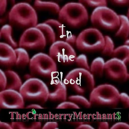 CranberryMerch2's tweet image. THE EP THAT STARTED IT ALL! 😃🎶💕🩸
Check out the debut EP from The Cranberry Merchants! Includes classics such as “The Black Maria,” “Going Nowhere,” and the title track!
LISTEN NOW: open.spotify.com/album/1VayarTf…
#SupportIndieMusic #share #stream #RT