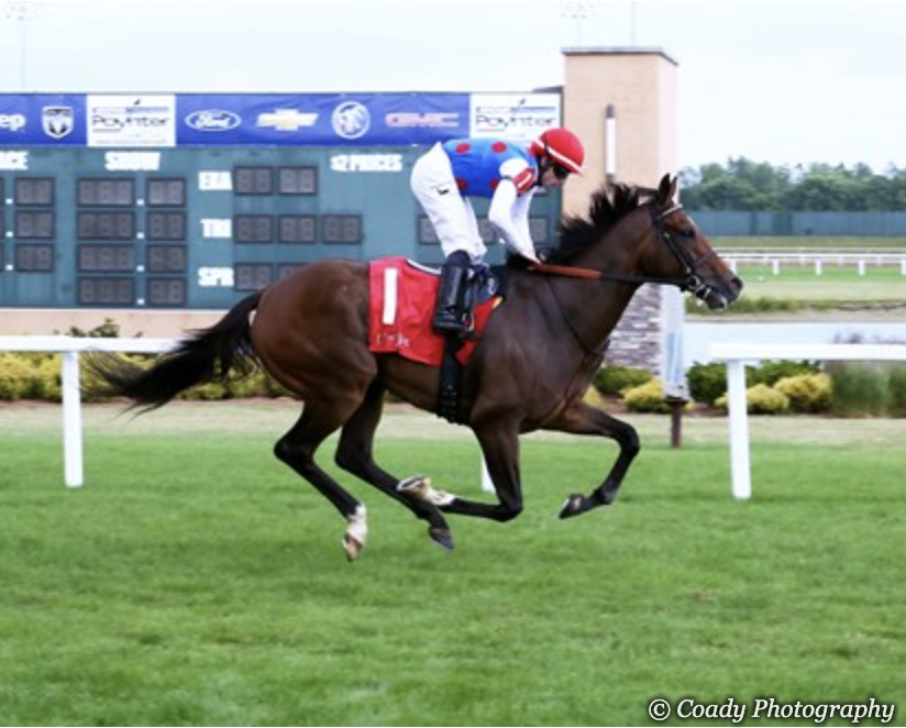 USASteeplechase's tweet image. Playing Colonial Today?
Here’s my take on the first two hurdle races—Races 1 and 2. Stay tuned for my thoughts on Race 3, coming soon!
Colonial Downs R1 | Thu, Jul 24 | Post Time: 10:45 AM ET
Hurdles | 2 1/4 Miles | Maiden Special Weight | Purse: $60,000
British Royalty: A…