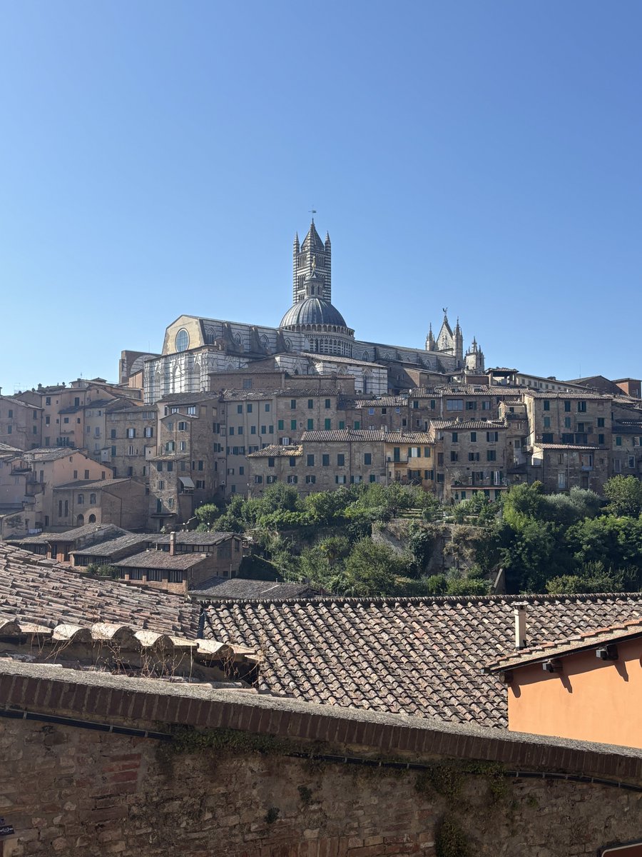 easyfirenze's tweet image. 仿ã¯ã·ãšãã§ãã7æã®ããªãªã§åªåããã¬ãã§ãŠå°åºãéããŸãðª¿