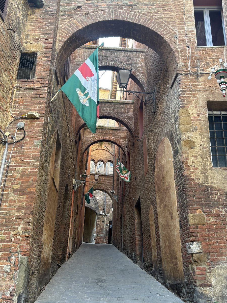 easyfirenze's tweet image. 仿ã¯ã·ãšãã§ãã7æã®ããªãªã§åªåããã¬ãã§ãŠå°åºãéããŸãðª¿
