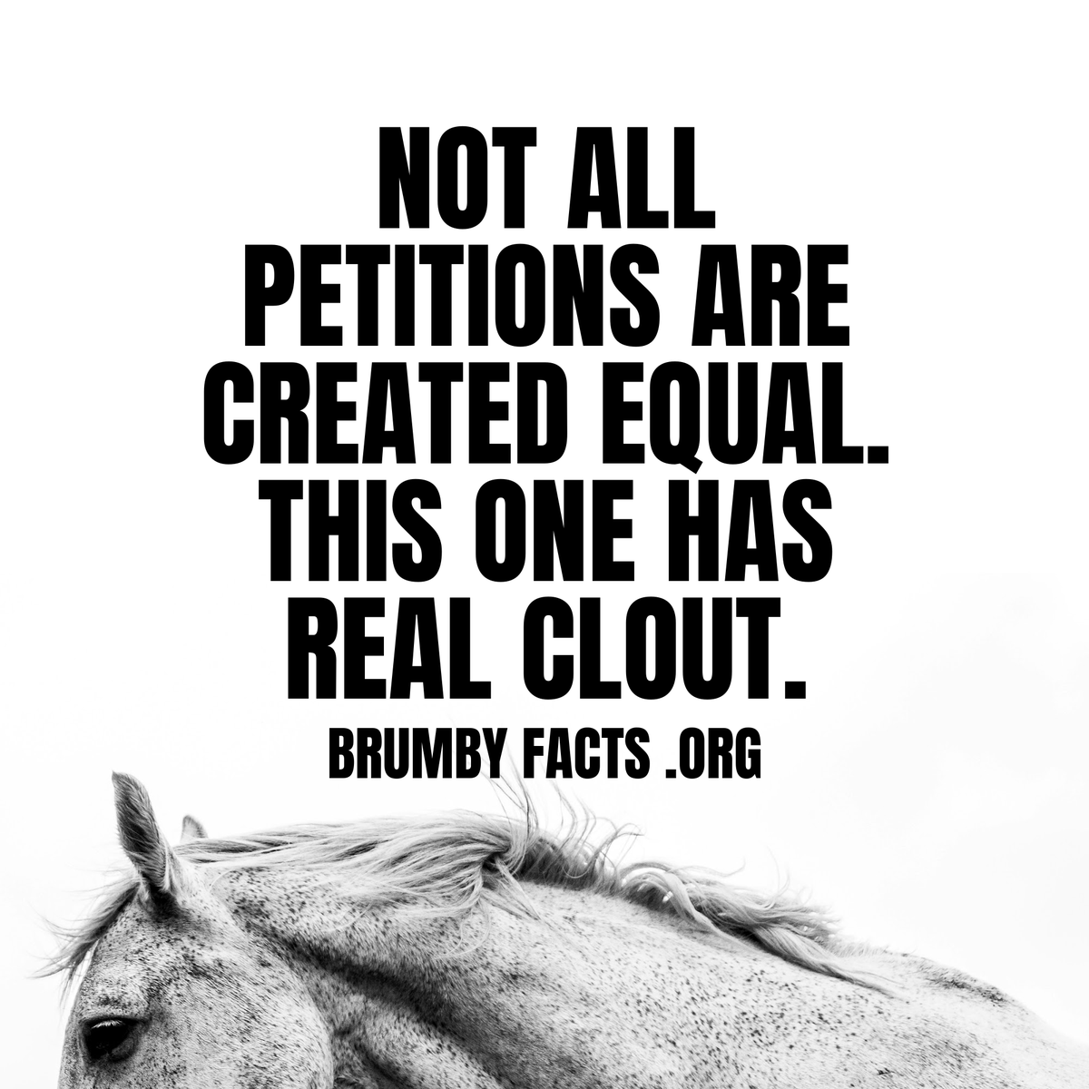 Brumby.facts (@brumby_facts) on Twitter photo #NSW #AUSTRALIA #brumby supporters speak up. We know you're tired of petitions but this one has REAL clout ==>bit.ly/4cCvS7n <==
#brumbies #banhorseslaughter <a href="/MeetYourMeatNo1/">🐎🐎Meet our Horse Meat🐎🐎</a> @marie_bennett #NSW #AUSTRALIA #brumby supporters speak up. We know you're tired of petitions but this one has REAL clout ==>bit.ly/4cCvS7n <==
#brumbies #banhorseslaughter <a href="/MeetYourMeatNo1/">🐎🐎Meet our Horse Meat🐎🐎</a> @marie_bennett
