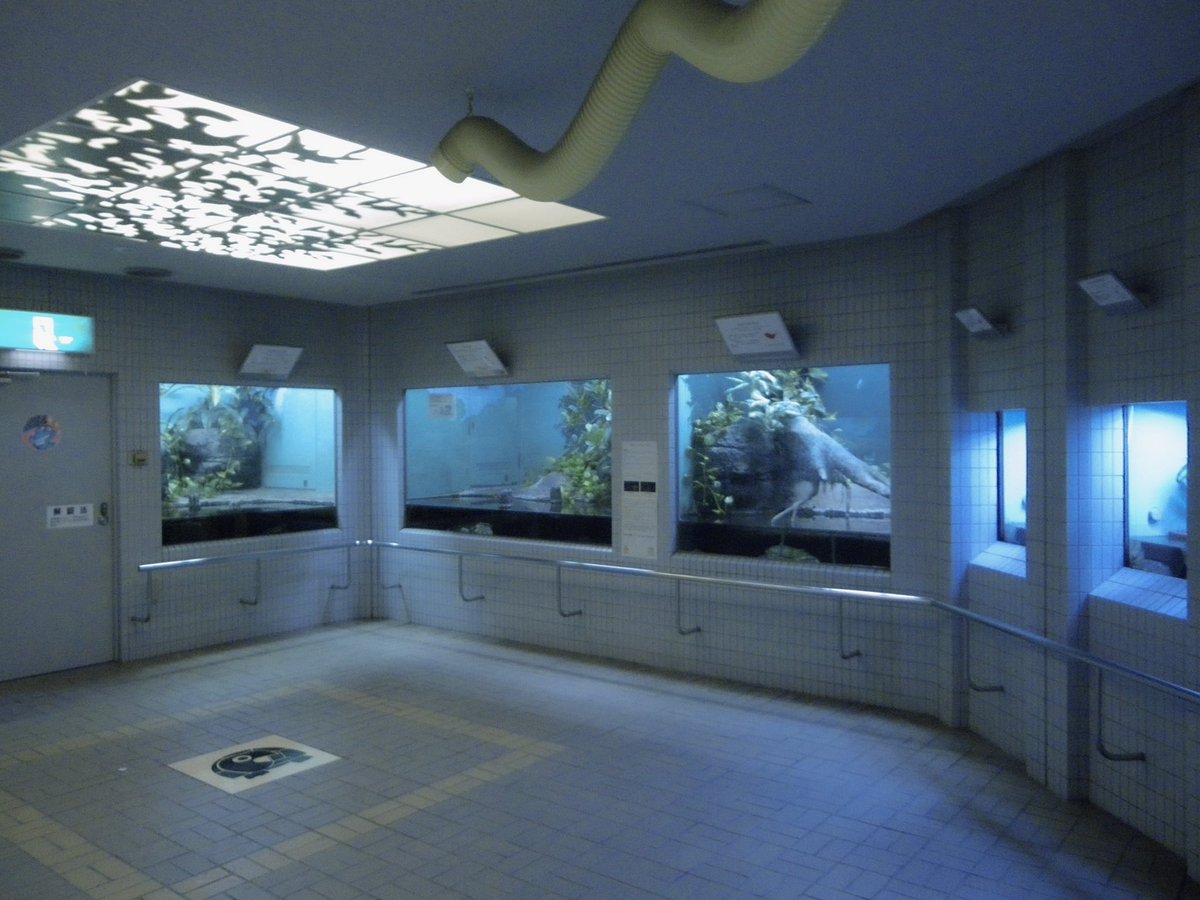 #6 (@nnuf22) on Twitter photo 