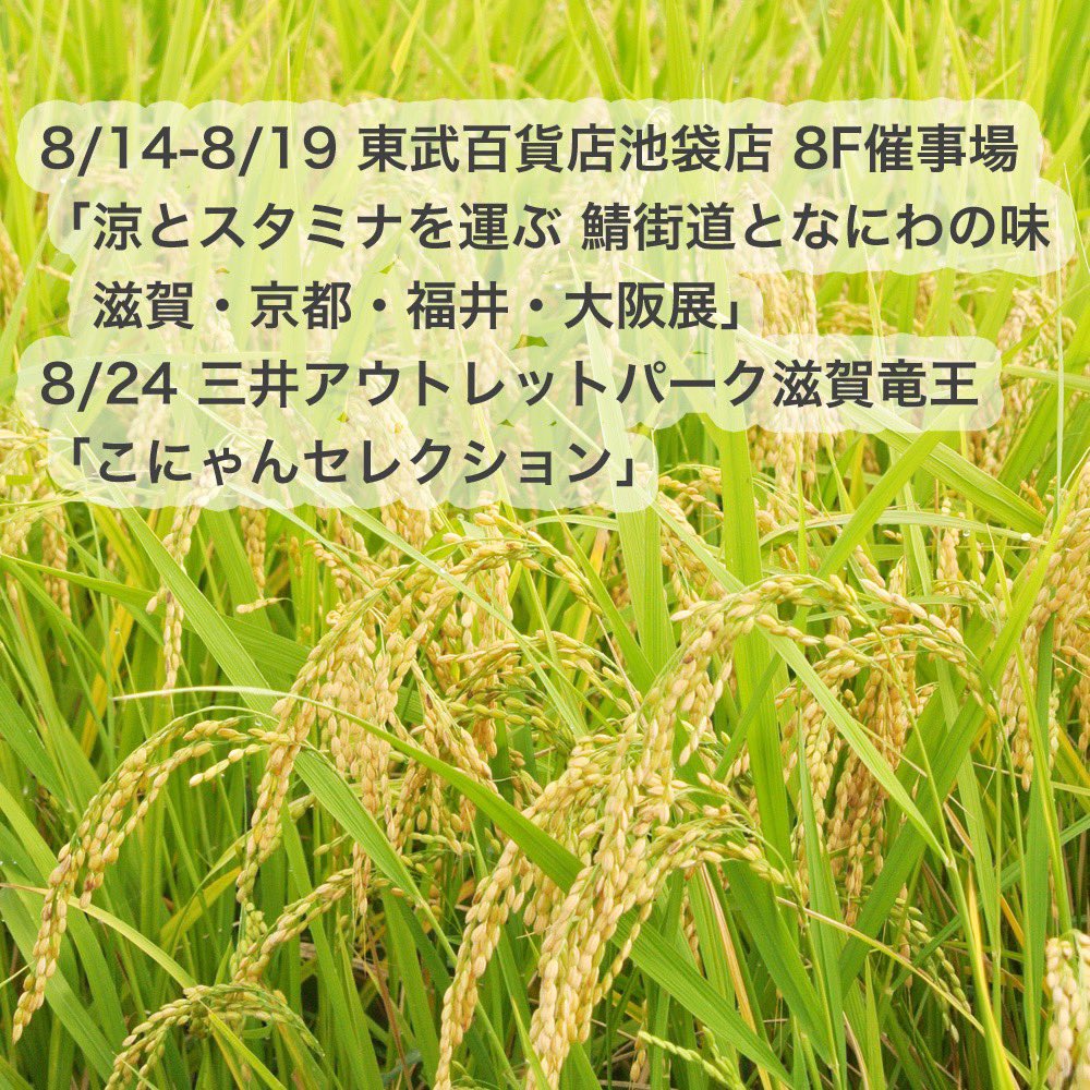 8月の催事出店についてのお知らせです。

8/14-8/19 東武百貨店池袋店8F催事場
「涼とスタミナを運ぶ 鯖街道となにわの味 滋賀・京都・福井・大阪展」

8/24 三井アウトレットパーク滋賀竜王
「こにゃんセレクション」

催事期間中は竜王町の店舗をお休みします。
ぜひ会場へお立ち寄りください。