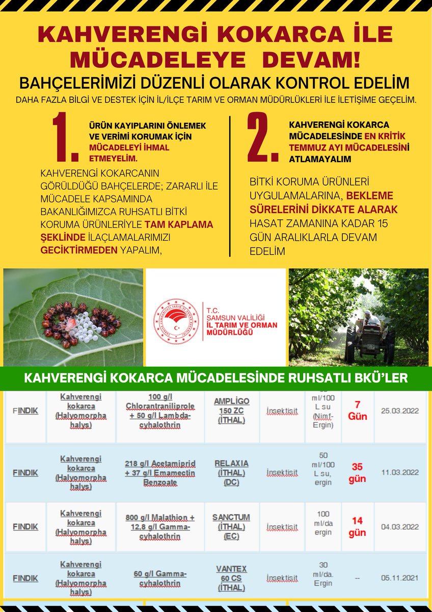 KAHVERENGİ KOKARCA BÖCEĞİ İLE MÜCADELEYE DEVAM!
<a href="/TCTarim/">T.C. Tarım ve Orman Bakanlığı</a> 
<a href="/SamsunTRM/">Samsun İl Tarım ve Orman Müdürlüğü</a> 
<a href="/Bugemtr/">Bitkisel Üretim Genel Müdürlüğü</a> 
<a href="/trgmresmi/">Tarım Reformu Genel Müdürlüğü</a> 
<a href="/TCSamsunValilik/">T.C. Samsun Valiliği</a> 
<a href="/SamsunTRM/">Samsun İl Tarım ve Orman Müdürlüğü</a>
<a href="/ibrahimsaglam46/">İbrahim SAĞLAM</a>