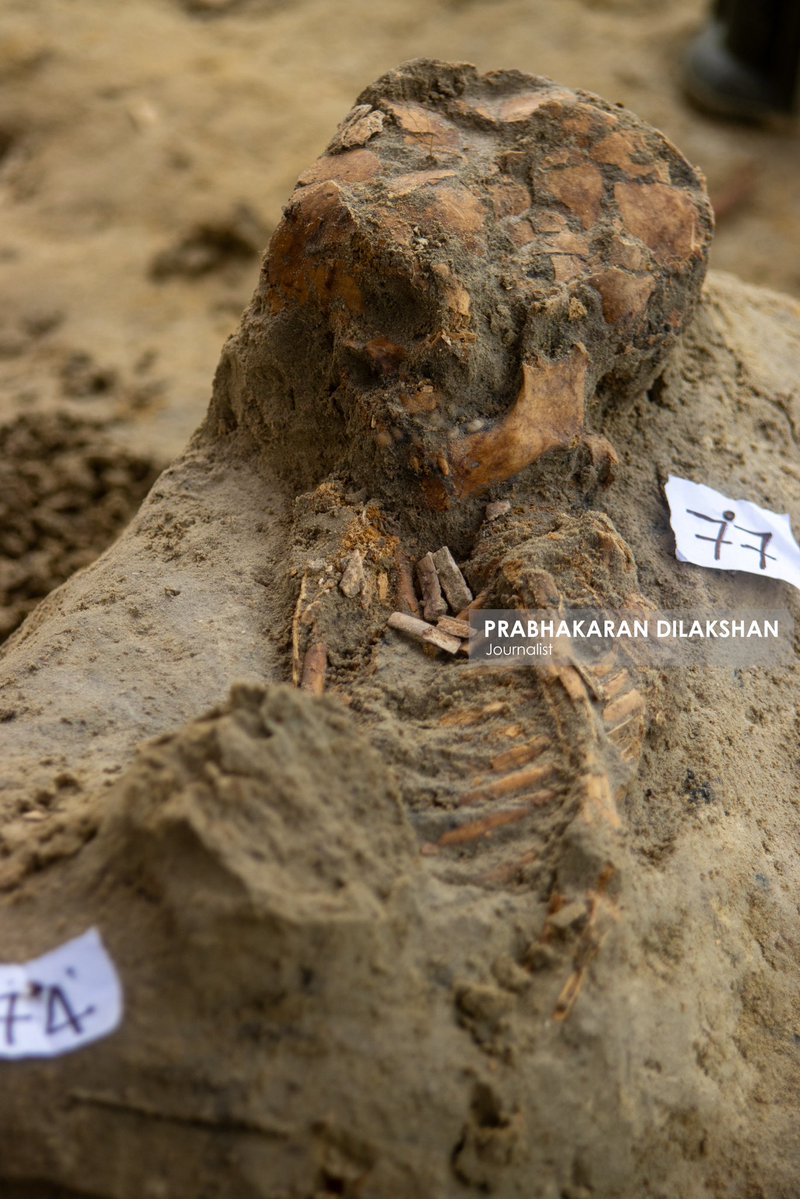 Prabhakaranlk's tweet image. During today’s excavation at the #Chemmani_human_grave site in jaffna , three additional sets of human remains have been newly identified.
With this, the total number of human skeletal remains identified at the Chemmani grave site has increased to 88.