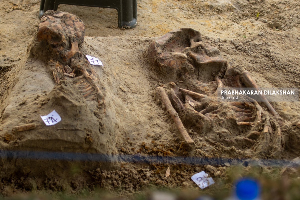 Prabhakaranlk's tweet image. During today’s excavation at the #Chemmani_human_grave site in jaffna , three additional sets of human remains have been newly identified.
With this, the total number of human skeletal remains identified at the Chemmani grave site has increased to 88.