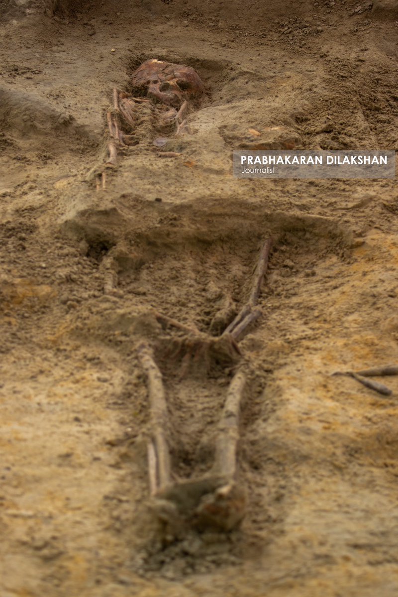 Prabhakaranlk's tweet image. During today’s excavation at the #Chemmani_human_grave site in jaffna , three additional sets of human remains have been newly identified.
With this, the total number of human skeletal remains identified at the Chemmani grave site has increased to 88.