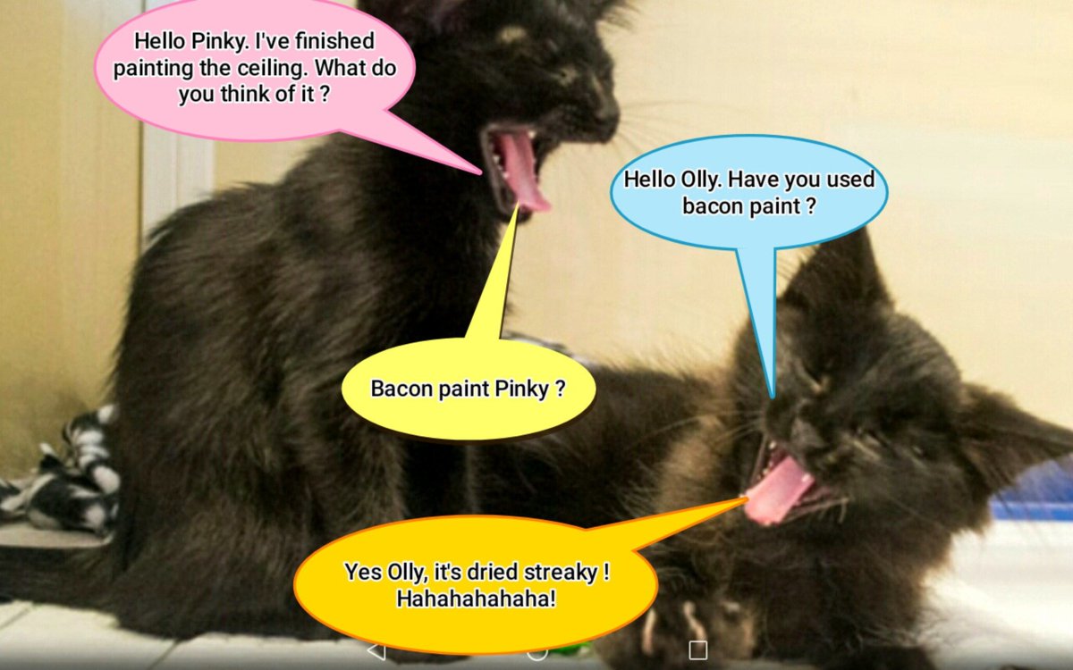 It's time for Pinky and Olly's corny jokes, posted in loving memory of our dear friend Janet.

Olly has been doing some decorating.

#RIPJanet 💜💜💜
#PinkyAndOlly 

❤️❤️❤️🌽🌽🌽❤️❤️❤️