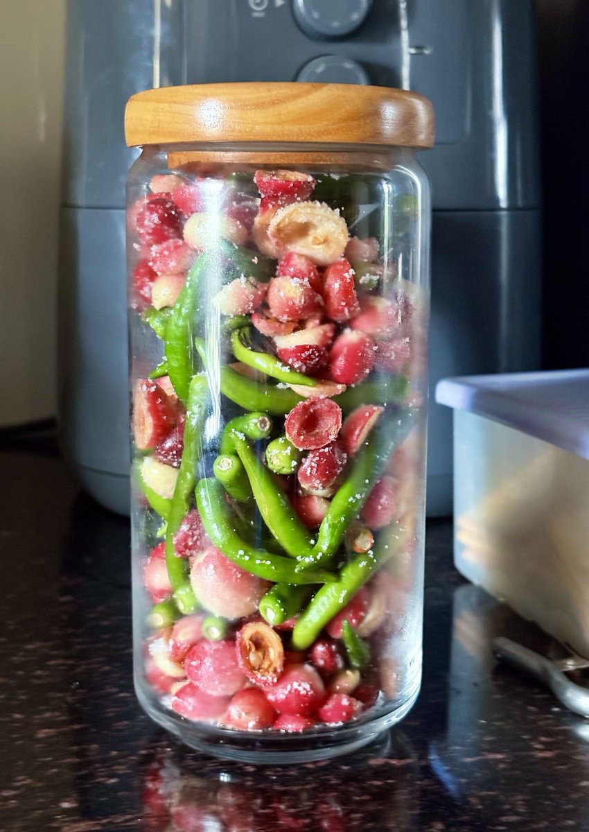 SrinagarGirl's tweet image. There were things,phrases,veggies,daily-life practices that I learnt about only when I left Kashmir &amp;amp; came to Delhi. I had seen vegetable hawkers selling this humble berry-like veg, never knew the name or how it was consumed. 

Today, made a tangy chutney &amp;amp; pickled some Karonda!