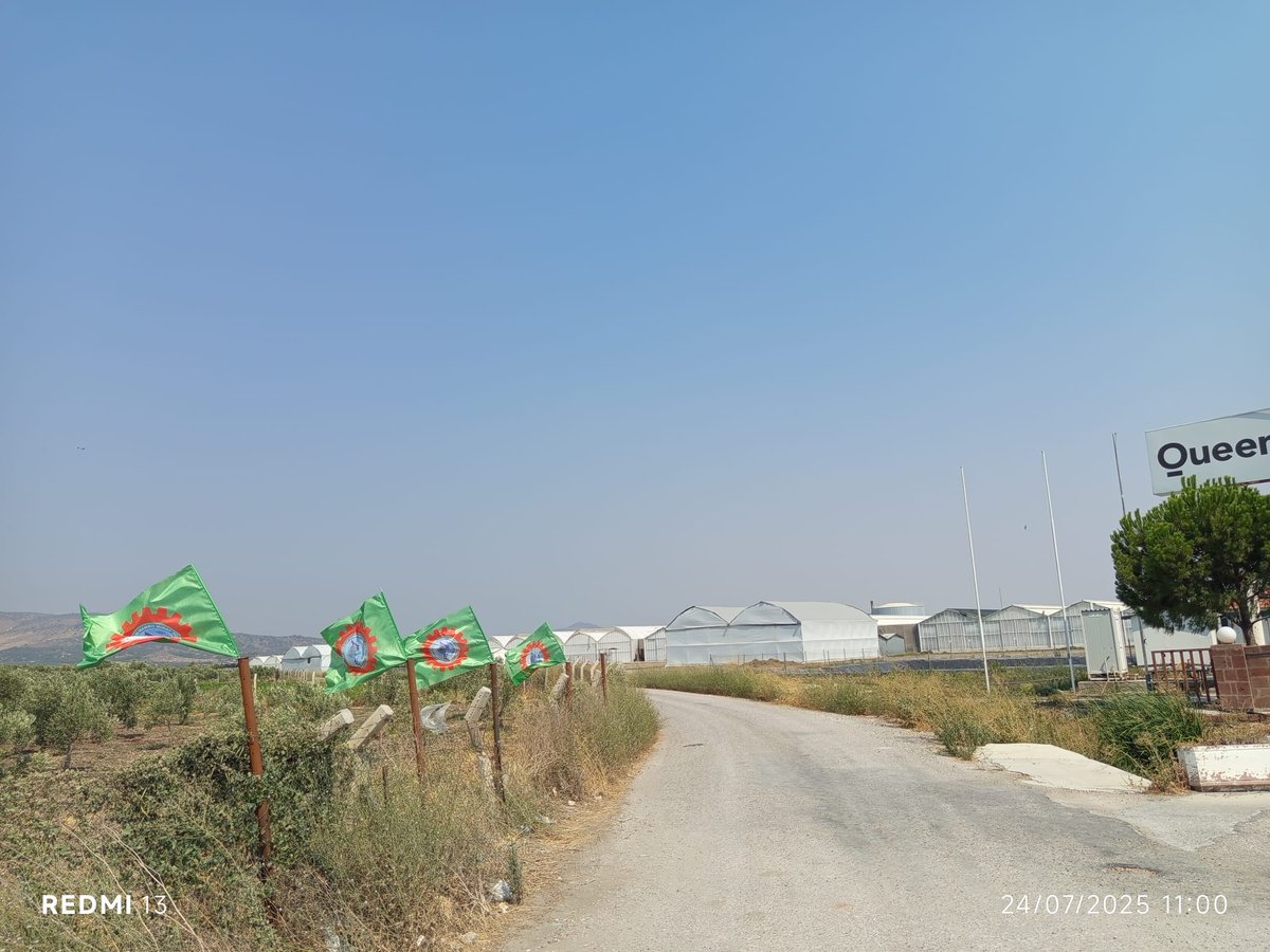 📍İzmir | Dikili | Queen Tarım
Bugün direnişimizin 22. günü.
22 gündür kapıdayız.
22 gündür sıcağa, baskıya, yok saymaya karşı direniyoruz.
Bir çiçeği yetiştirmek nasıl emek isterse, bir hakkı kazanmak da mücadele ister.
Biz, emeğimizin hakkını, sendika özgürlüğümüzü söke söke
