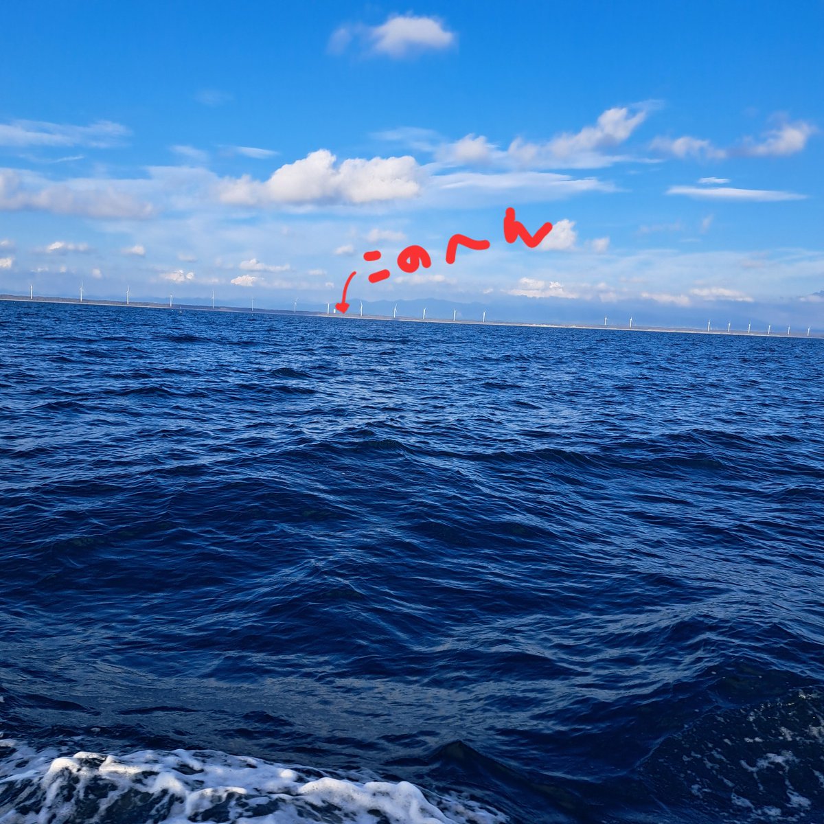 qJ3TfCWcmrrUkL5's tweet image. 今日行ったところを
海から眺める