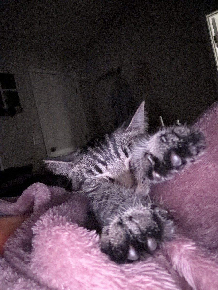 I don't know how one can sleep when one has something this cute snuggling them😭🥹