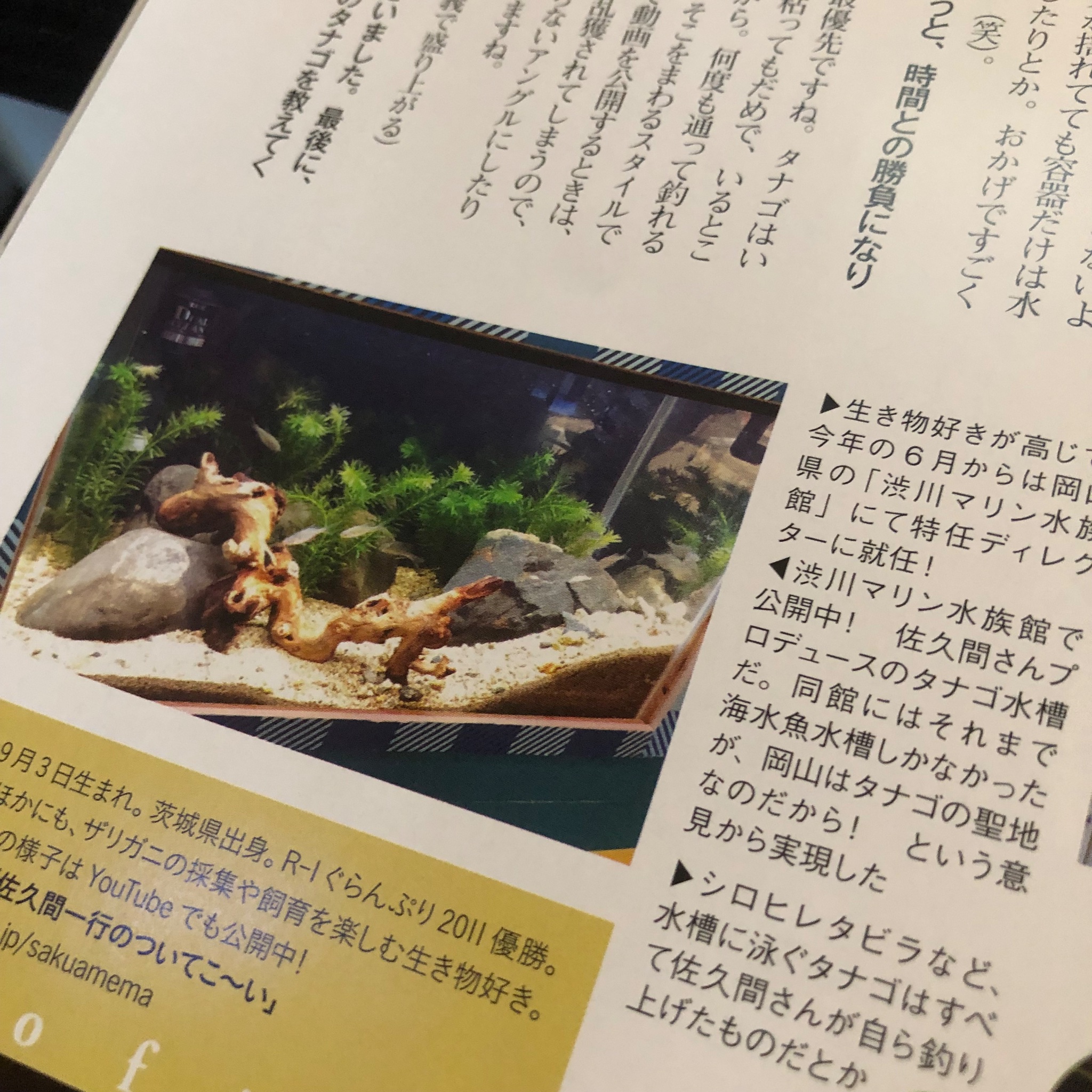 Aqua Lifeアクアライフ 1990 1995 1996 1997 まとめ Aqua Lifeアクアライフ 1990 1995 1996 1997 まとめ（月刊アクア