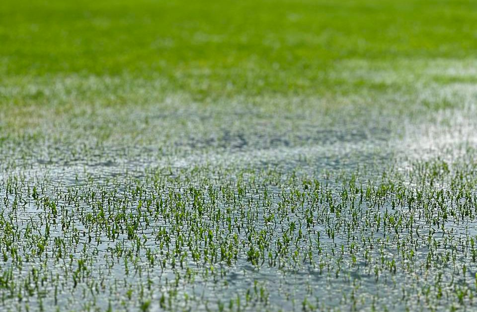 Padova e Torres informano che, a causa del maltempo abbattutosi questa notte e le previsioni del pomeriggio non favorevoli, le due società hanno deciso di annullare l'amichevole in programma oggi alle ore 17 nel campo di Sottocastello di Pieve di Cadore. padovacalcio.it/maltempo-annul…