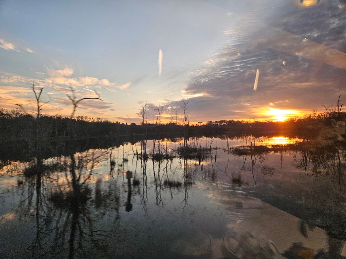 superalbs's tweet image. Time for a nice continental breakfast in the @Amtrak @_DiningCar, as we slowly make our way south and into Florida.