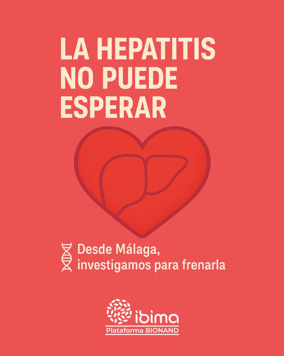 _ibima's tweet image. 🦠 La hepatitis no puede esperar.
Cada año, 1,3 millones de vidas se pierden por hepatitis viral.
Desde Málaga, en IBIMA Plataforma BIONAND investigamos para frenarla.
Porque la ciencia salva vidas. Porque el futuro es sin hepatitis.
🔬 #WorldHepatitisDay #Hepatitis #Salud