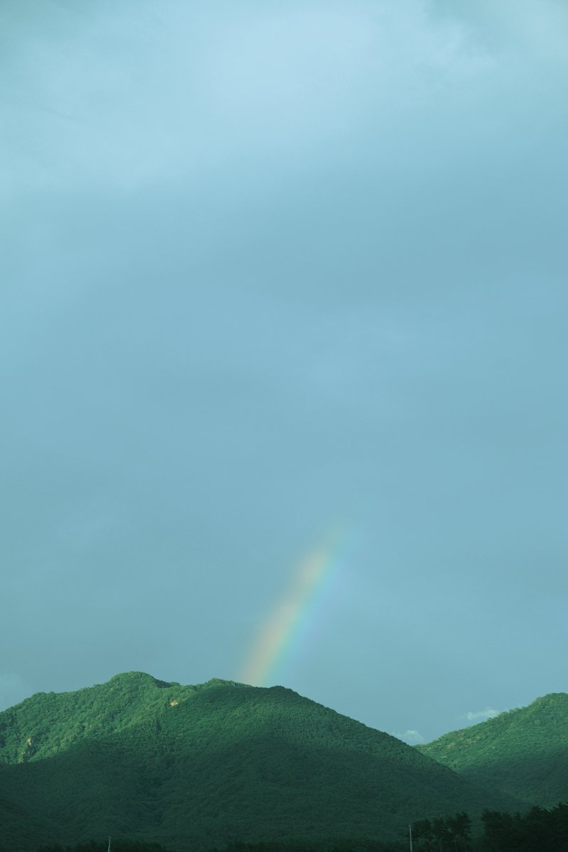 eau849's tweet image. 自分がこの世から去るとき、
瞼の裏にあるのは絶景ではなく
きっとこんな瞬間なんだろう