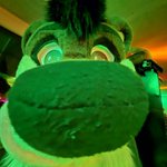Photo by Otis 🦦 🌈 (@therealotis2)