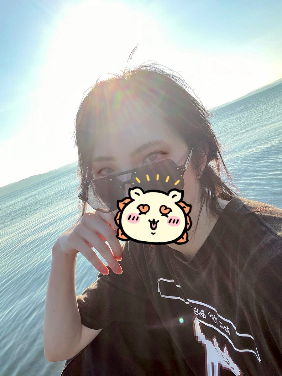 安寧の揺籠 tweet media