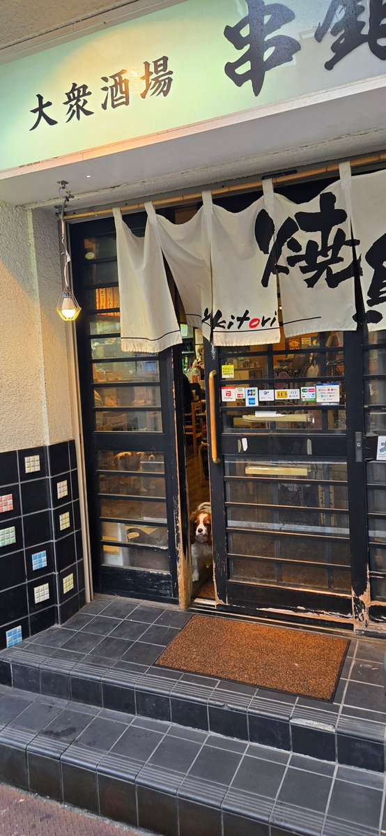 kushiginzou's tweet image. 🏮赤提灯、全損しました

グレートダウンになりますが、発注済みです
しばらくは裸電球ですみません
