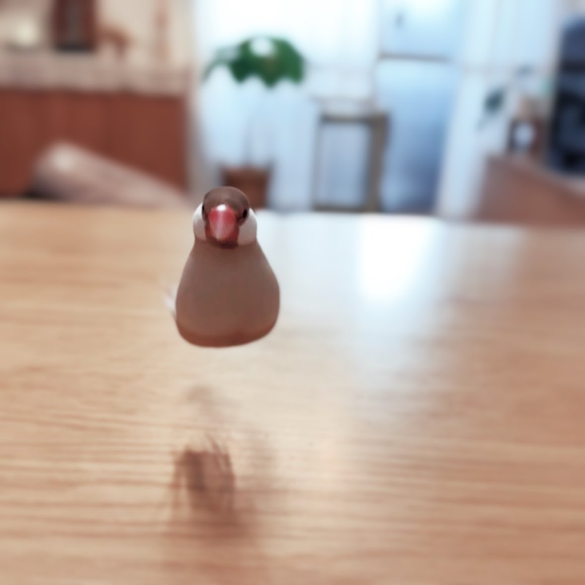 #これでフォロワーさんが増えました