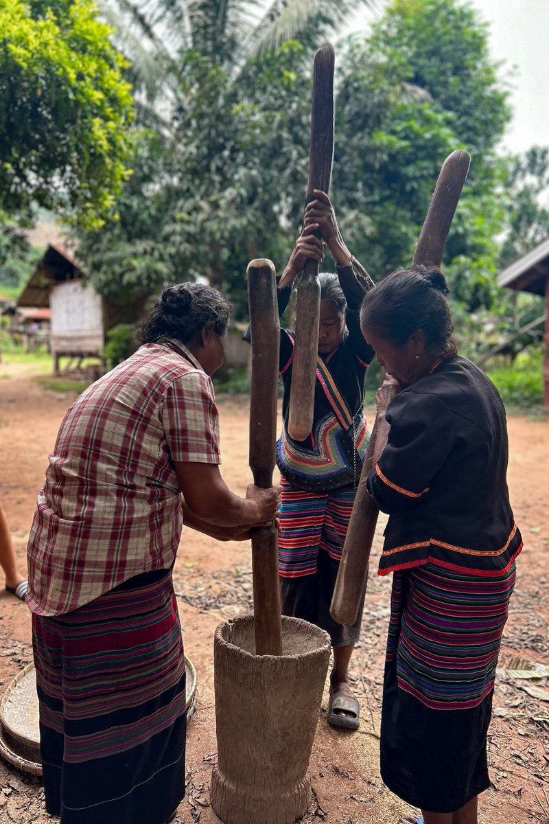Asian Trails’ staff embarked on a journey to Luang Namtha in Northern Laos, where they explored the scenic river valley, winding mountain trails and diverse ethnic villages: buff.ly/sXFJvoZ

#AsianTrails #Laos #LuangNamtha #responsibletravel #communitybasedtourism