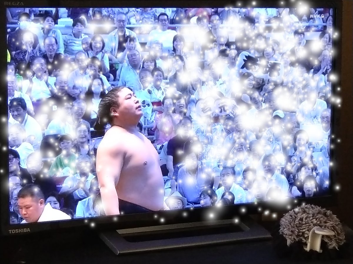 ひかるです(^o^) ZX- 鬼塚ひかる (@pica_zuma) / X