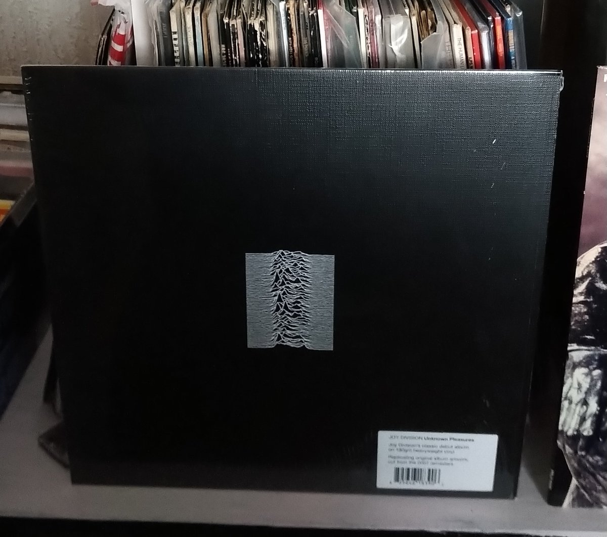 Debuts are often the best <a href="/NewWaveAndPunk/">PunkAndNewWave</a>