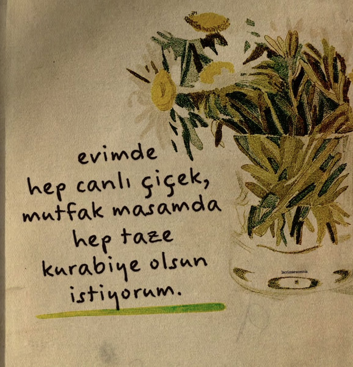 10/10 Bilgi Seli (@ononbilgiselim) on Twitter photo 