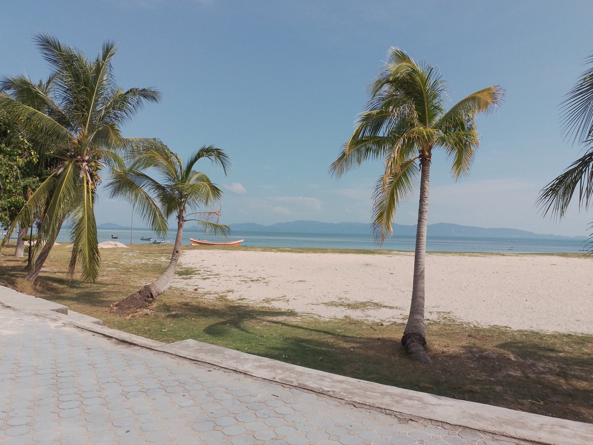 i truly did it

i touched the grass

on this big beautiful beach

all that remains is some truly enormous fatties occupying it