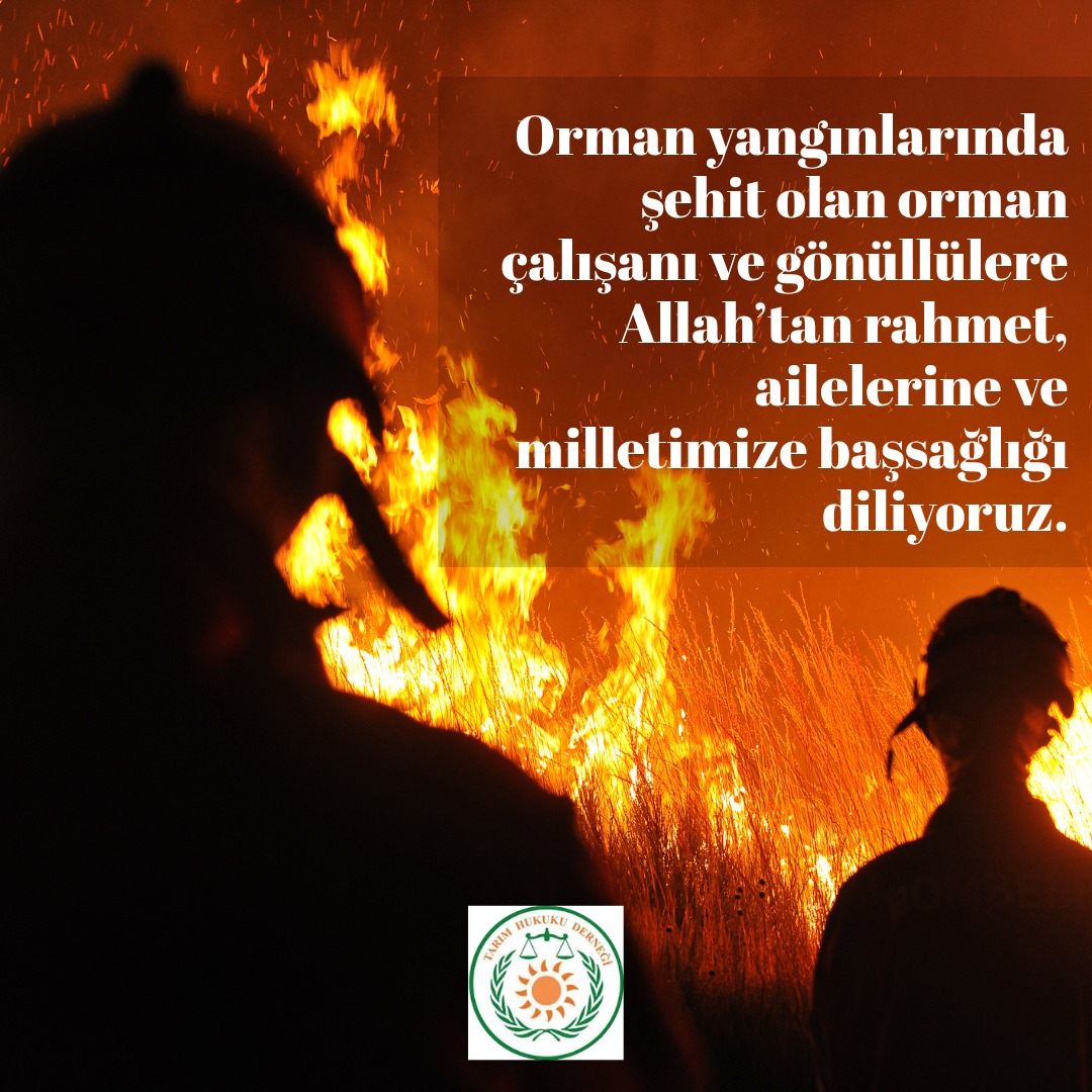 Ormanlarımızı korumak için canları pahasına mücadele ederken şehit olan vatandaşlarımıza Allah’tan rahmet, ailelerine ve milletimize başsağlığı diliyoruz.
