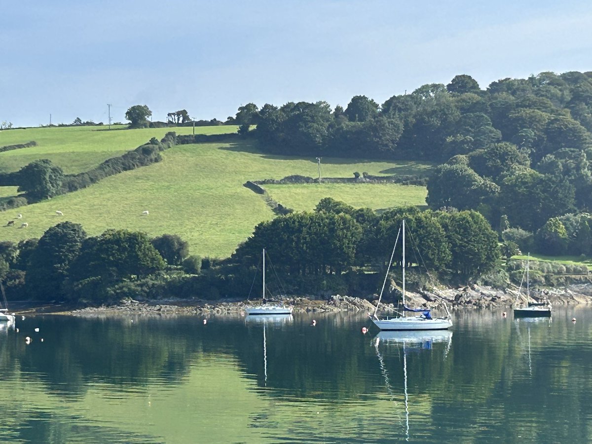 DeasyPamela's tweet image. #Day205 of #300daysofwalking
A rib seems to be in the wrong county π
Thursday morning and stunning so far π have a great day
#Home #SummerinIreland #WestCork