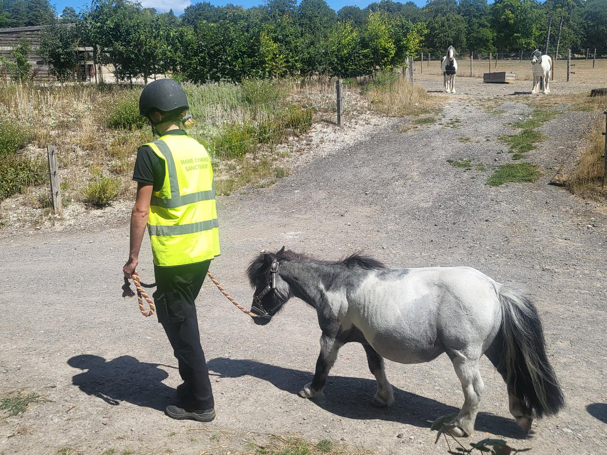 VGCGroup tweet media