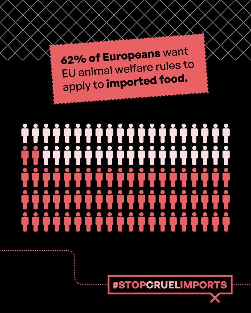 Act4AnimalsEU's tweet image. 🚨 Are EU trade rules allowing hidden cruelty into our markets?
🇪🇺 EU citizens care about animal welfare, but without stronger import standards, their shopping may support products from systems like battery cages and overcrowded farms, which are banned or restricted in the EU.…