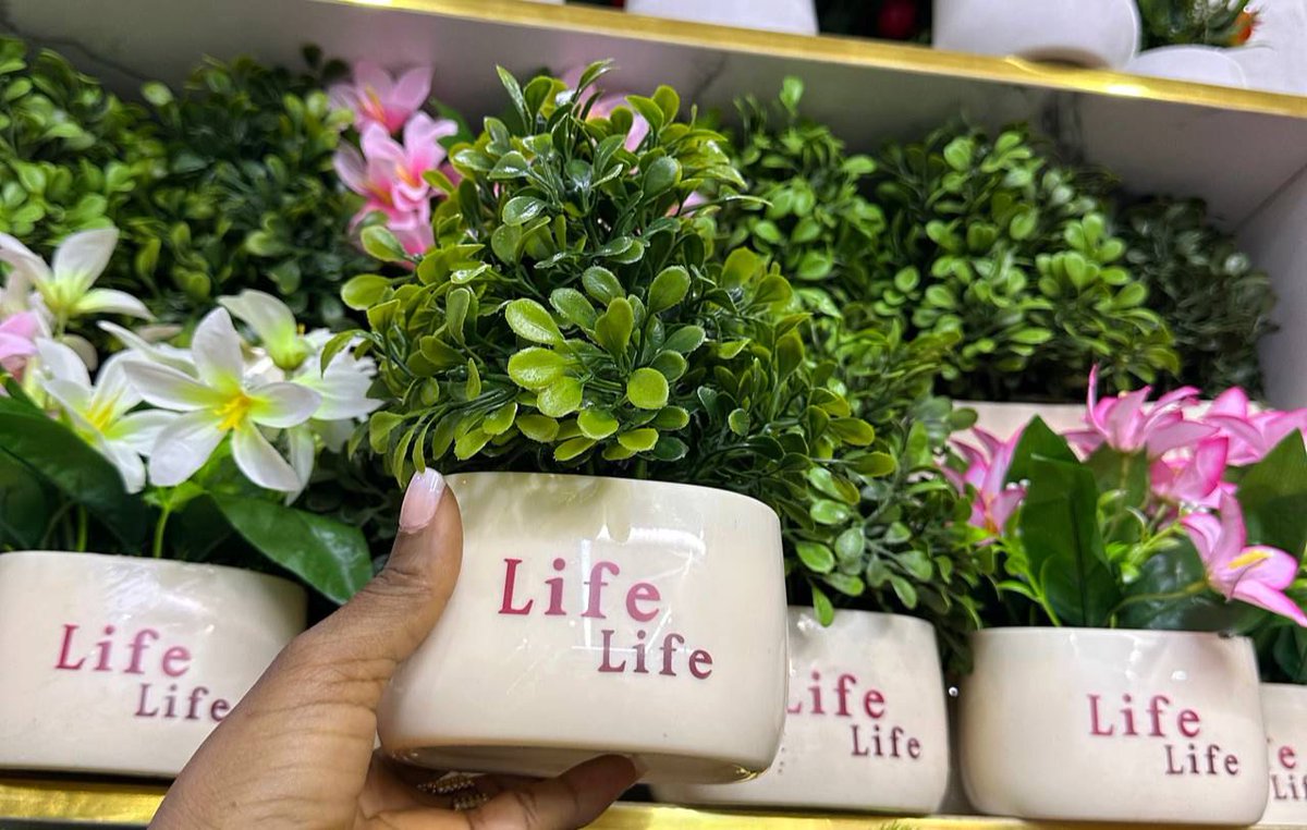 chattel_by_abby's tweet image. Sometimes, all your shelf needs is a little “green” magic.
Price: N6, 000 each
Delivery: Nationwide
To order: Send a DM or click the link wa.me/2348155317678