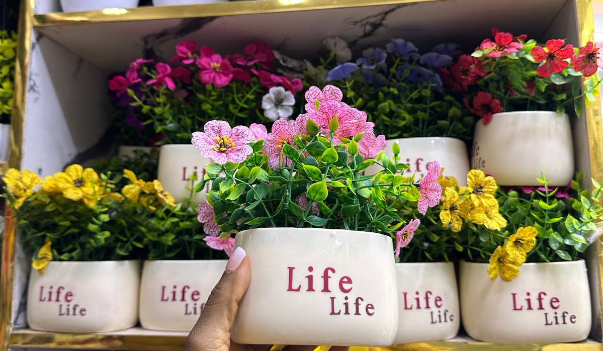 chattel_by_abby's tweet image. Sometimes, all your shelf needs is a little “green” magic.
Price: N6, 000 each
Delivery: Nationwide
To order: Send a DM or click the link wa.me/2348155317678