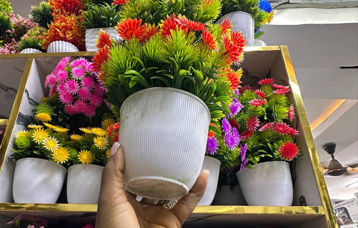 chattel_by_abby's tweet image. Sometimes, all your shelf needs is a little “green” magic.
Price: N6, 000 each
Delivery: Nationwide
To order: Send a DM or click the link wa.me/2348155317678