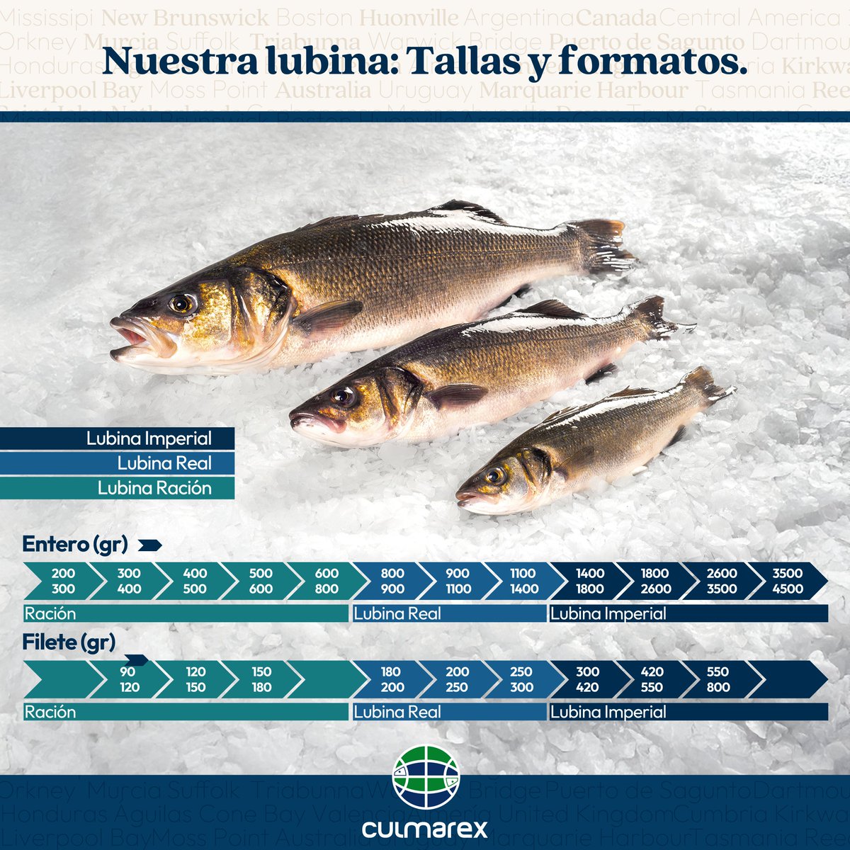 🐟 ¿Sabías que en Cooke España ofrecemos más de 20 formatos distintos de pescado?
Desde lubinas de ración hasta corvinas XXL, cada talla tiene su momento perfecto.
💛 Si ves etiqueta amarilla, es Culmarex: pescado fresco, trazable y con propósito.

#CookeEspaña #Culmarex