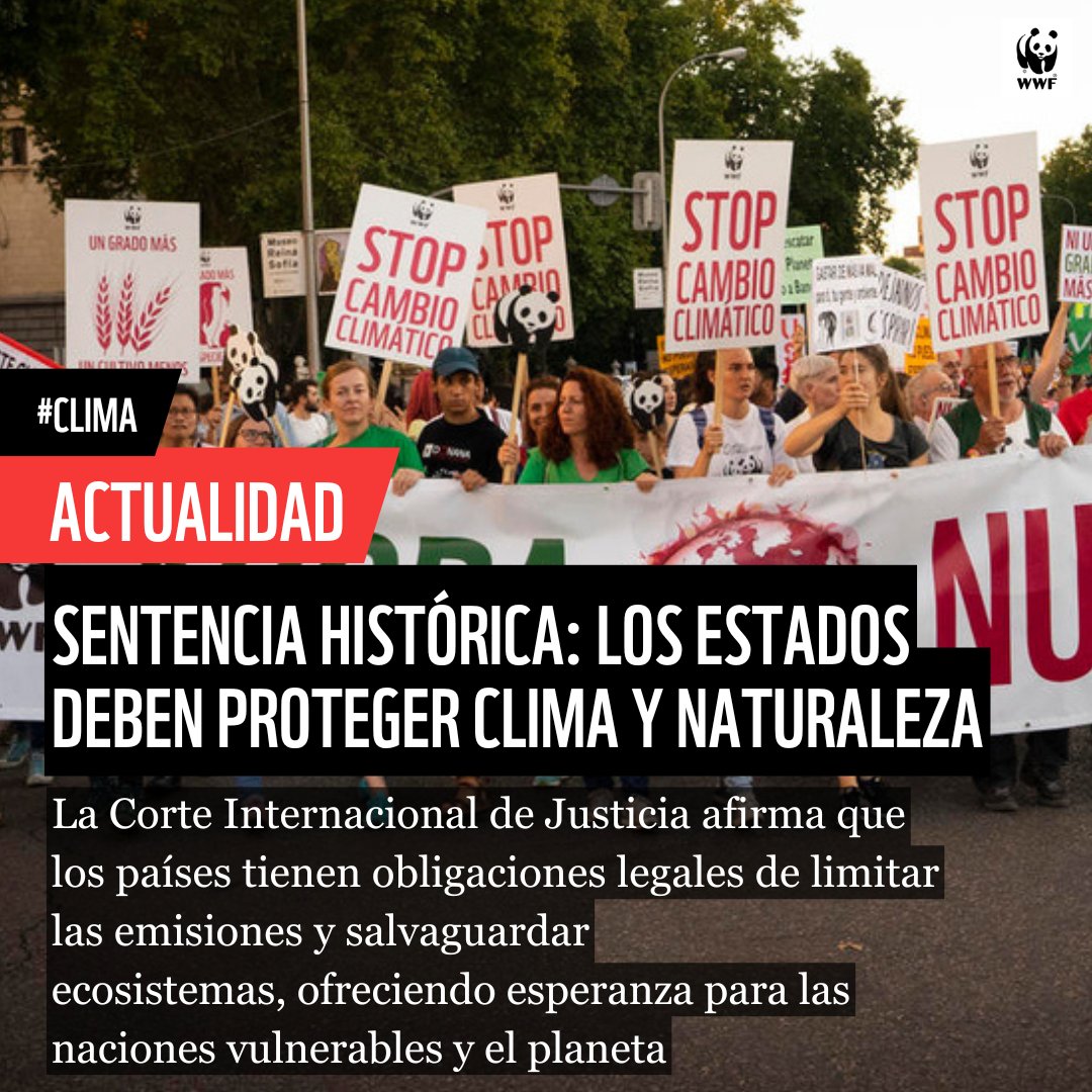 WWFespana's tweet image. ACTUALIDAD | Sentencia histórica. La Corte Internacional de Justicia (@CIJ_ICJ) afirma que:
Los países tienen el deber de proteger el #clima y la naturaleza 🟡
Deben
→ reducir emisiones
→ restaurar daños
→ actuar con justicia climática
Un paso clave hacia la rendición de…