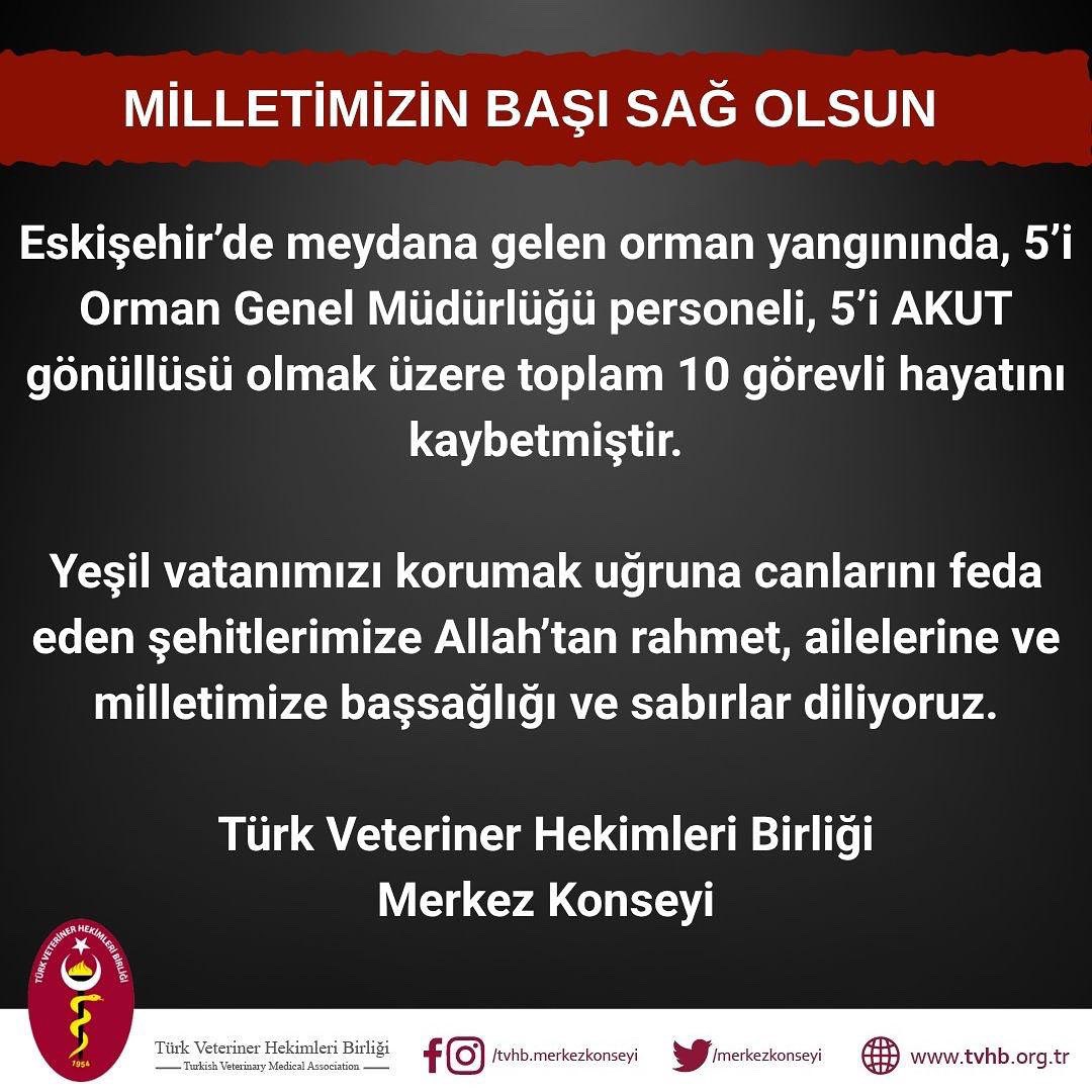 Türk Veteriner Hekimleri Birliği (@merkezkonseyi) on Twitter photo 